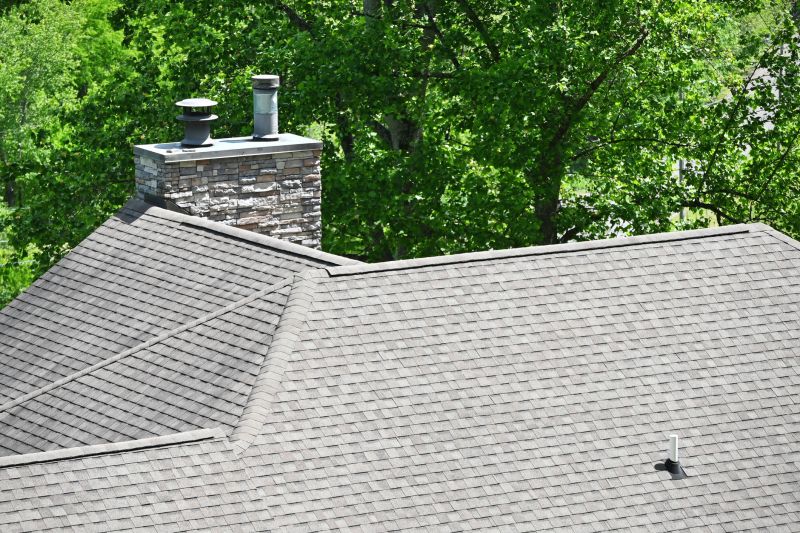 Professional Roof Vent Seal Repair Service Protects Against Mold and Mildew